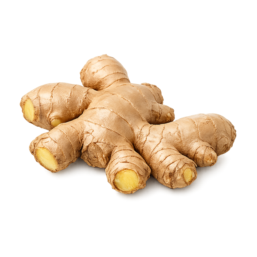 Ginger