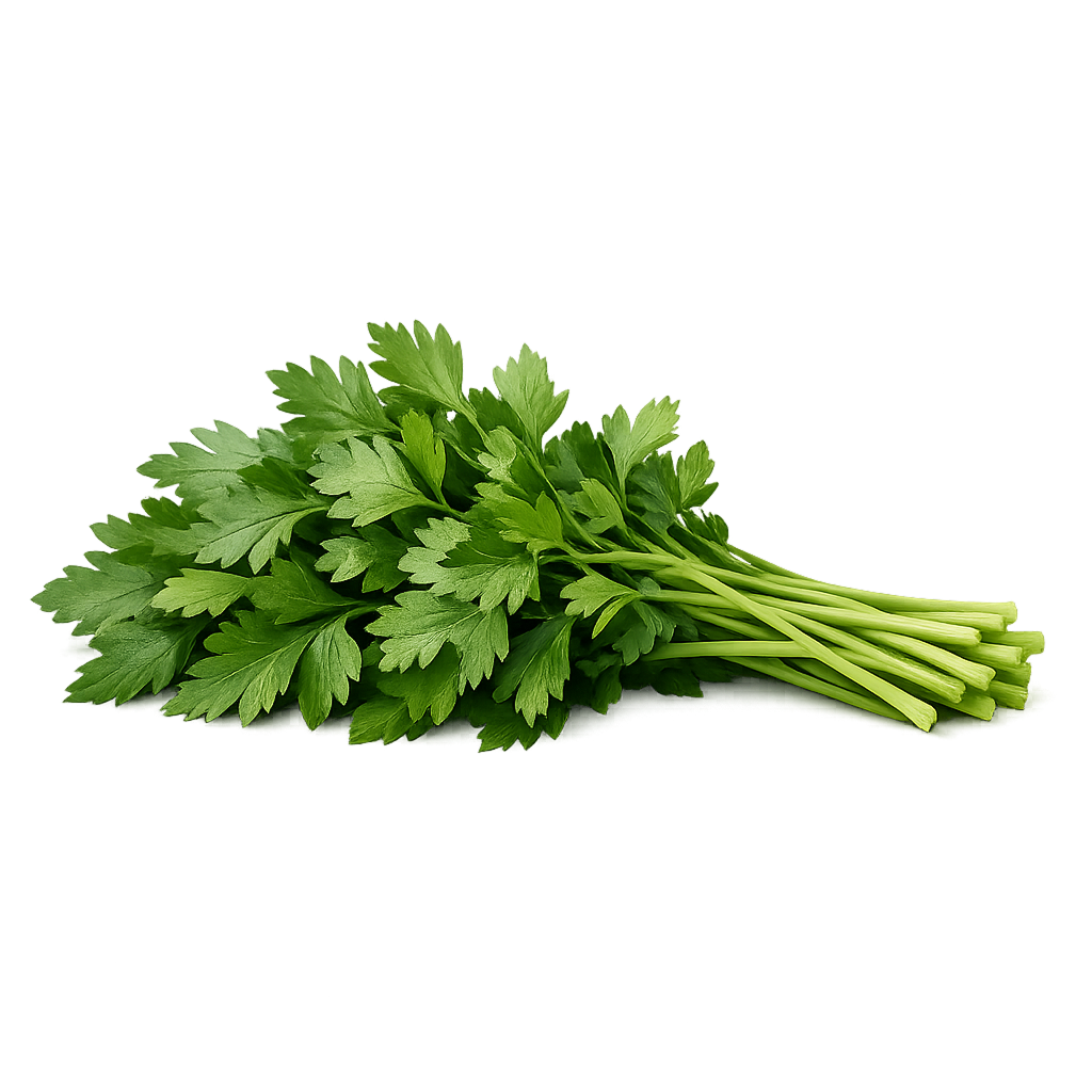 Parsley