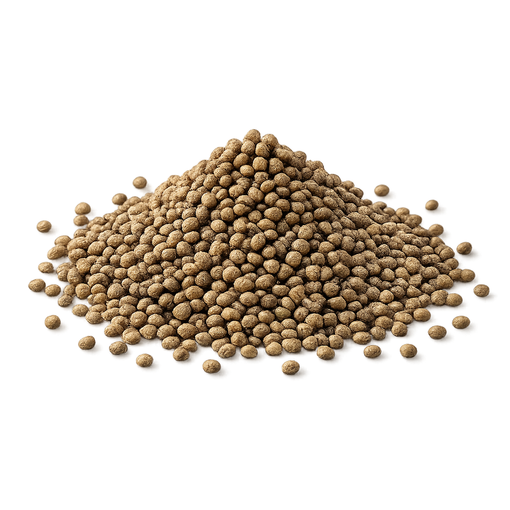 Perilla Seed