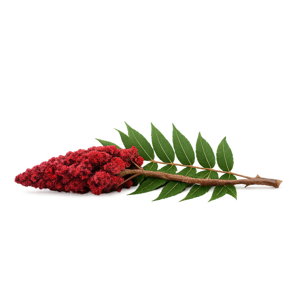 Sumac